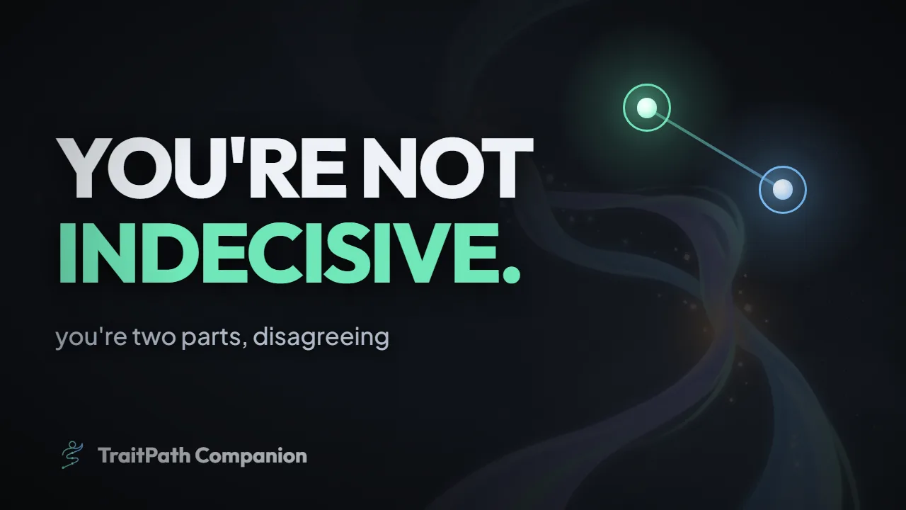 The TraitPath Companion overview: a conversation between a person and the Companion